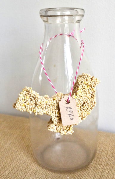 birdseed favors