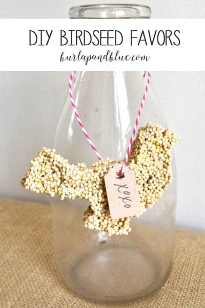 birdseed favors