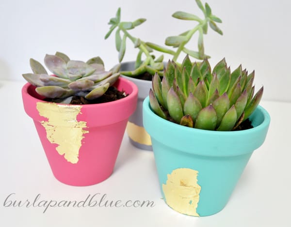 gold foil planters