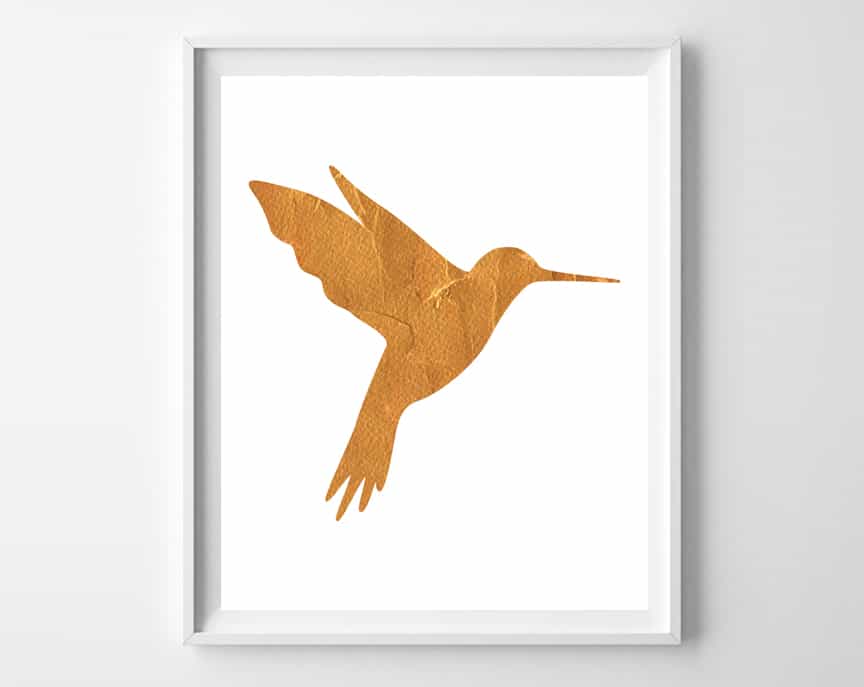 hummingbird art 2