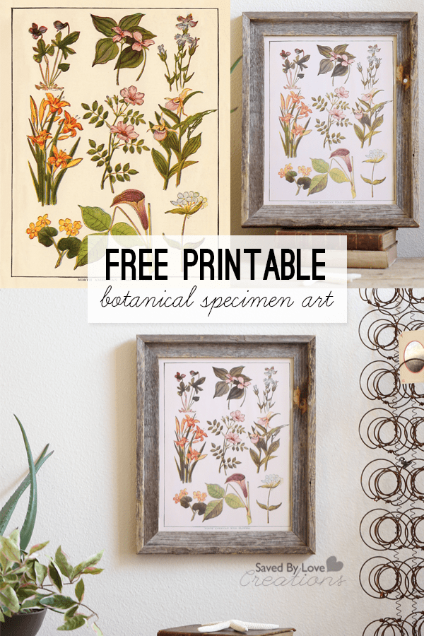 free printables