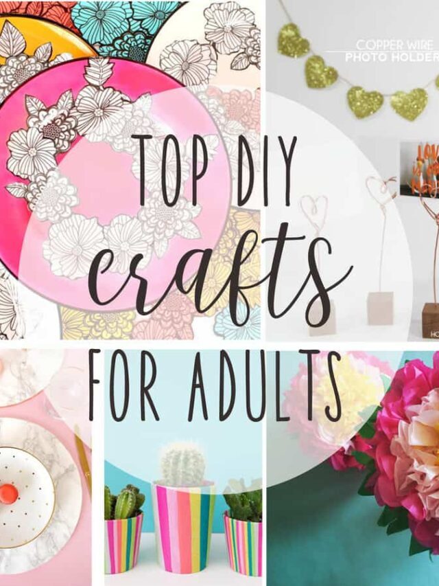 Crafts for Adults {DIY Craft Ideas for Adults} Story