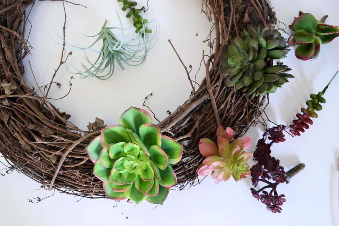 Succulent Wreath 4