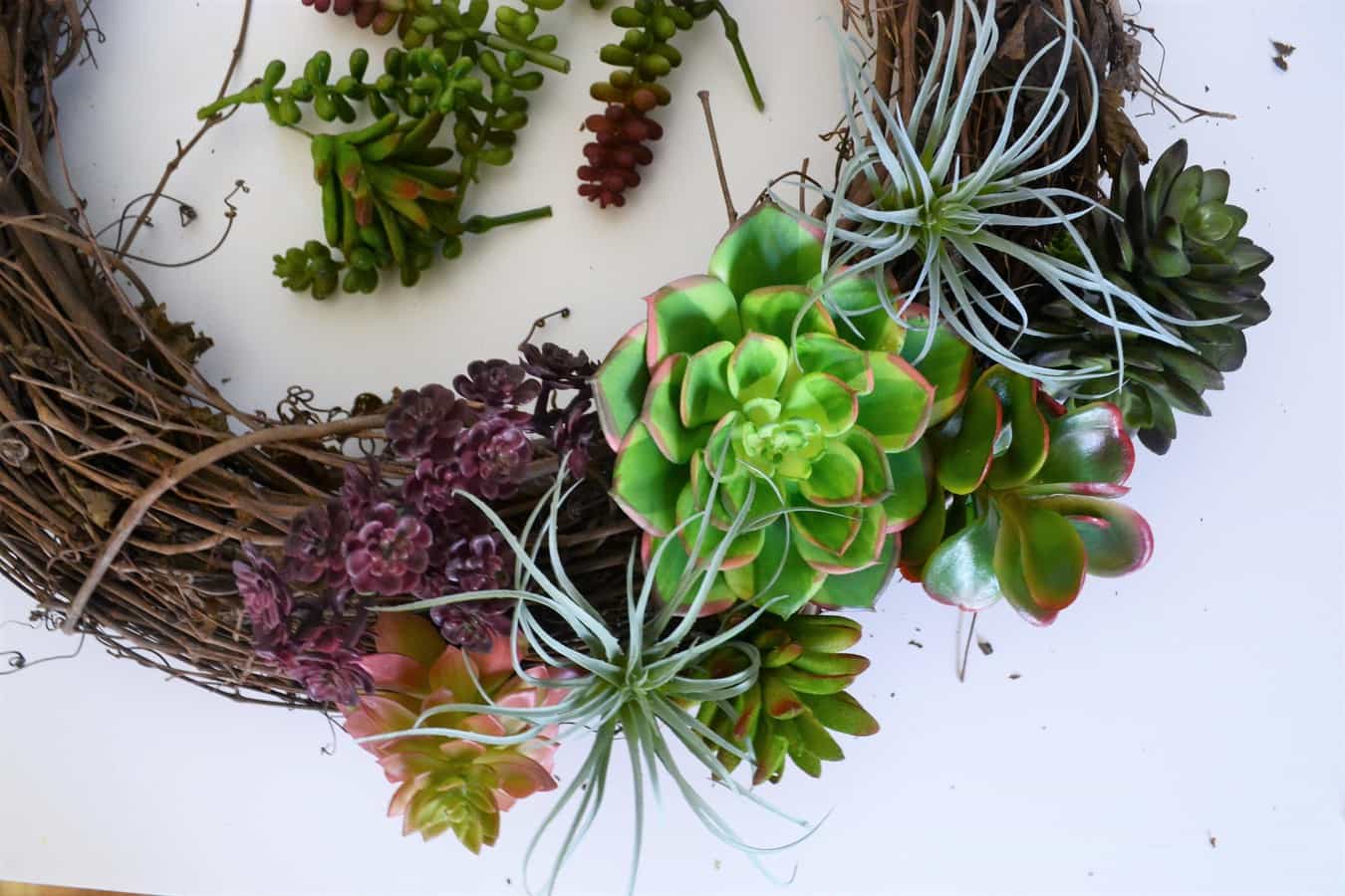 Succulent Wreath 5