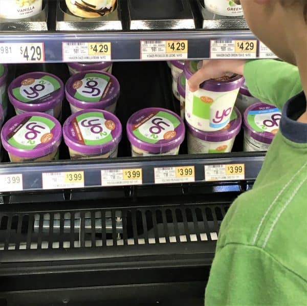 kemps frozen yogurt