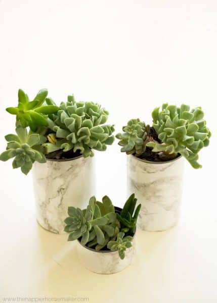 diy indoor planters