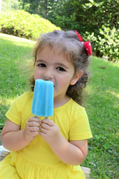 budget saver popsicles 3