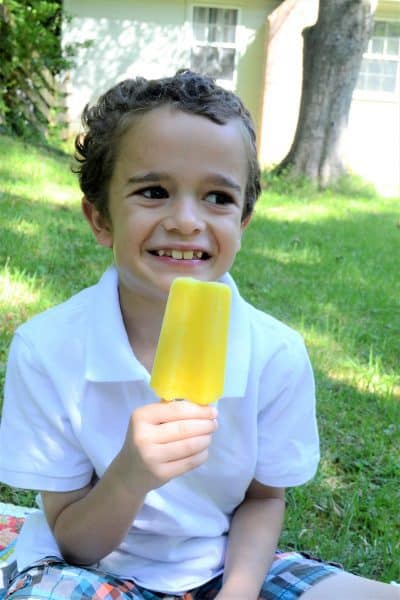 budget saver popsicles 4