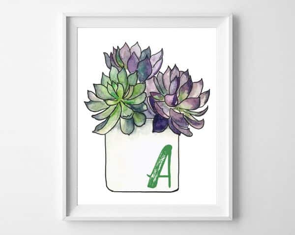 succulent art 1