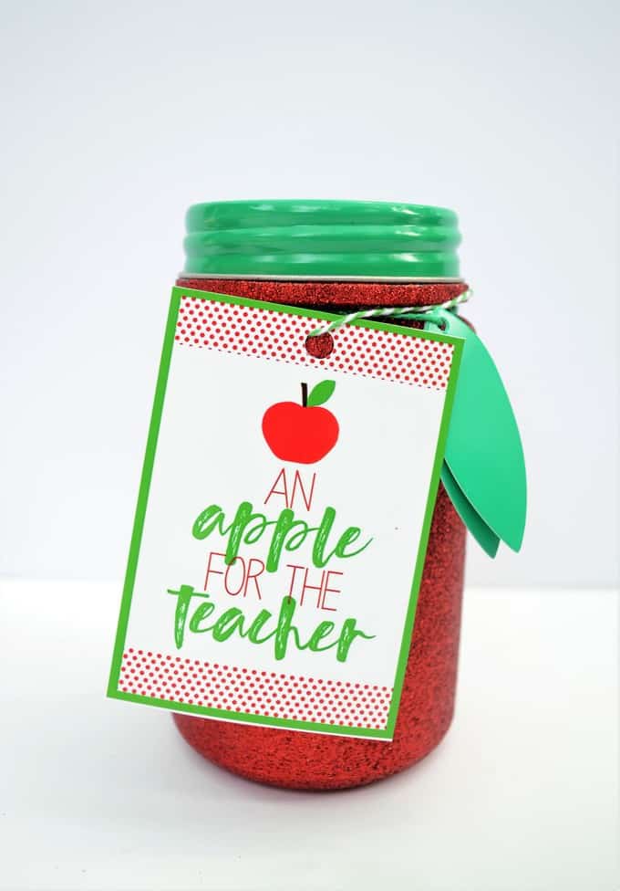 TEACHER APPRECIATION GIFT 7