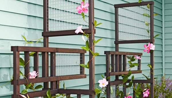 lowes trellis