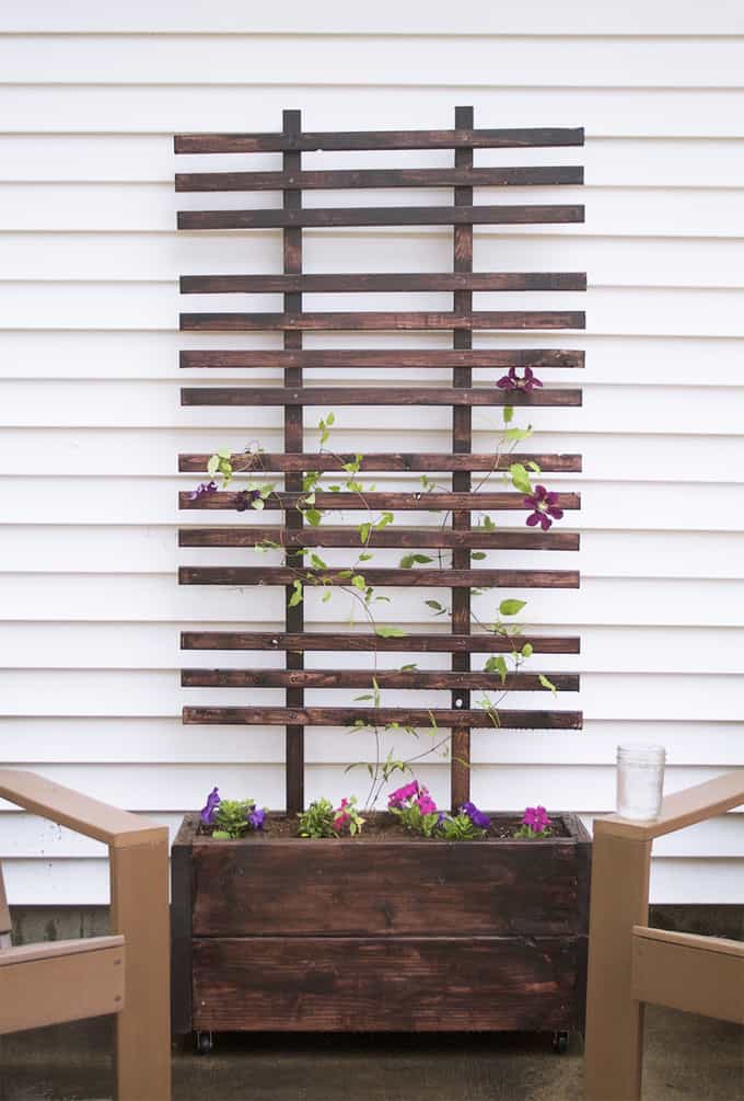 trellis ideas