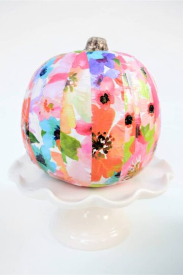 mod podge pumpkin 3
