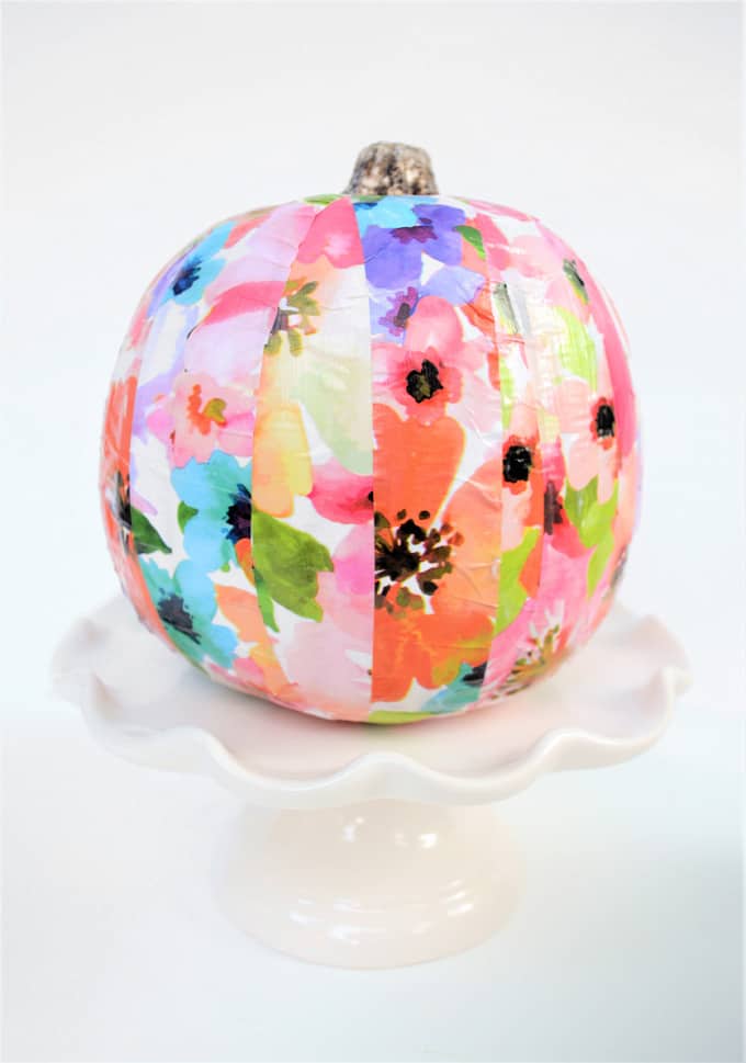 mod podge pumpkin 3