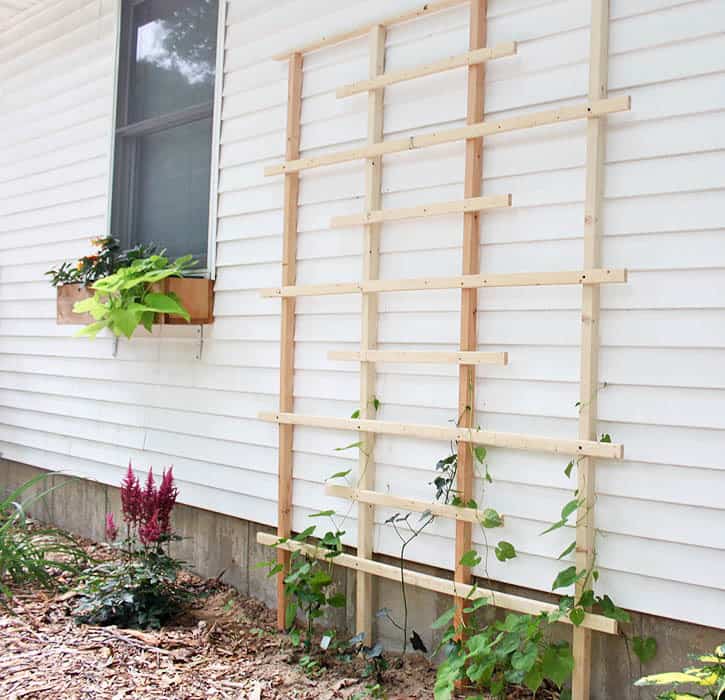 diy trellis