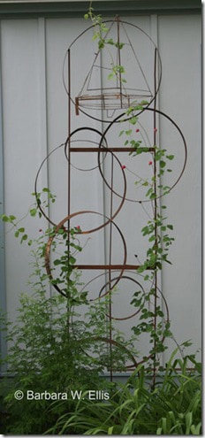 circle trellis