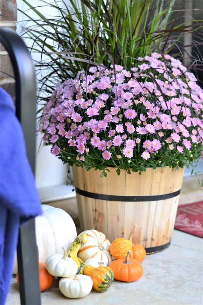 porch decor ideas lowes 5