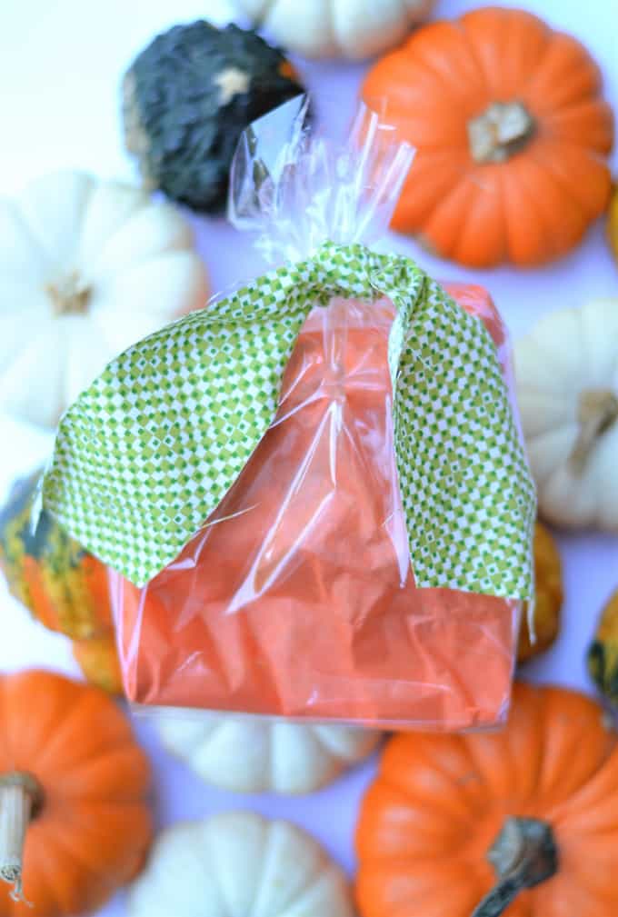 halloween Treat Bags 4