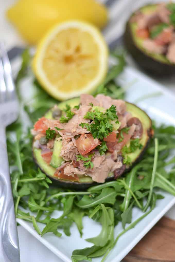 tuna salad in avocado 6