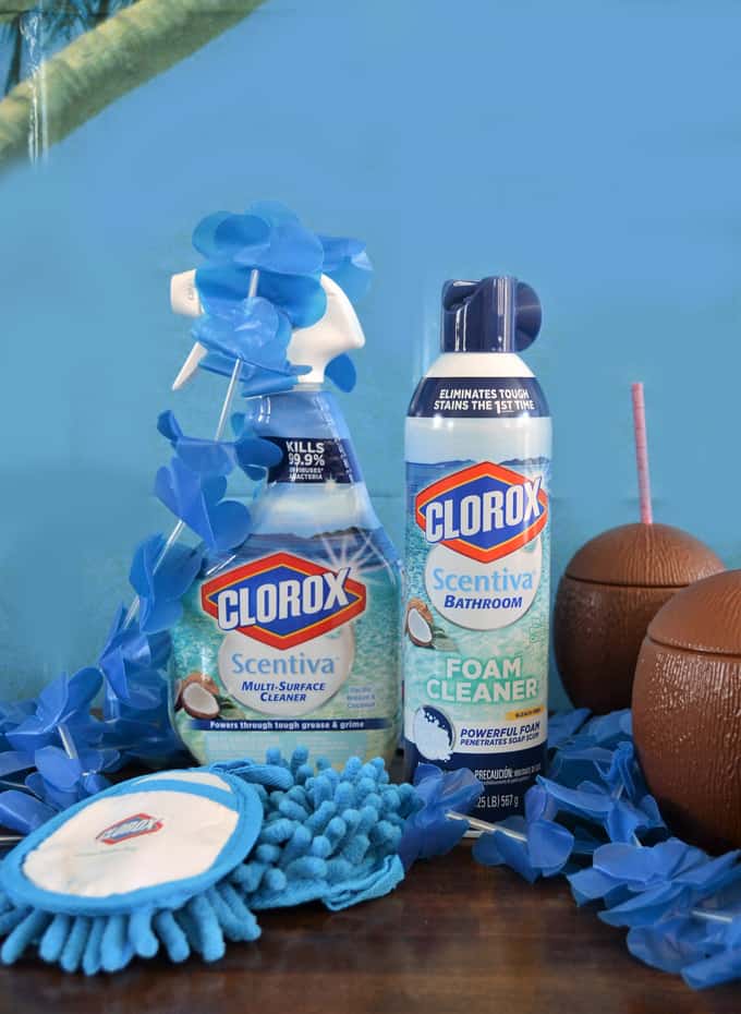 clorox products