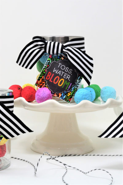 Gifts for Gardener Who Has Everything {DIY Seed Bomb Gift Idea with ...