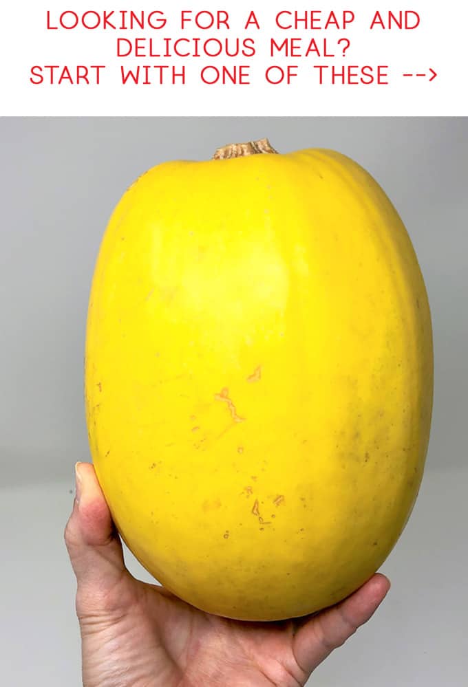 spaghetti squash