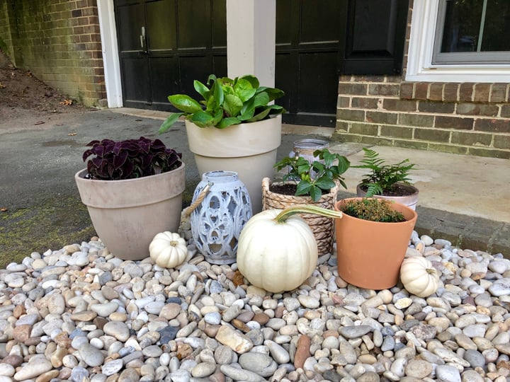 planters in gravel garden