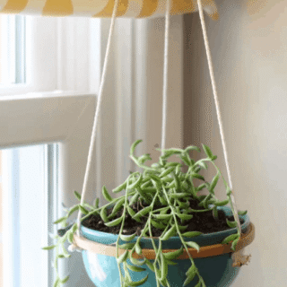 hanging planter