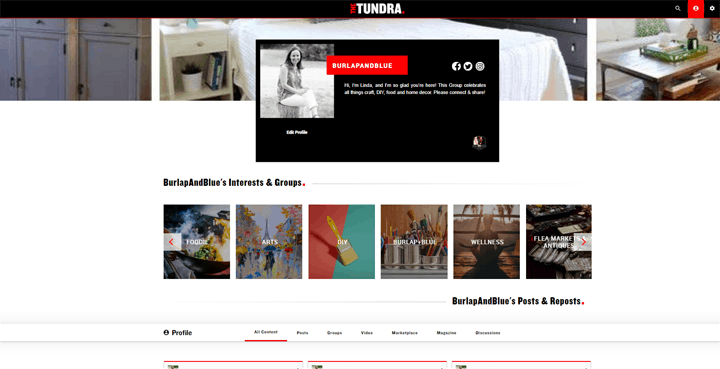 thetundra social platform