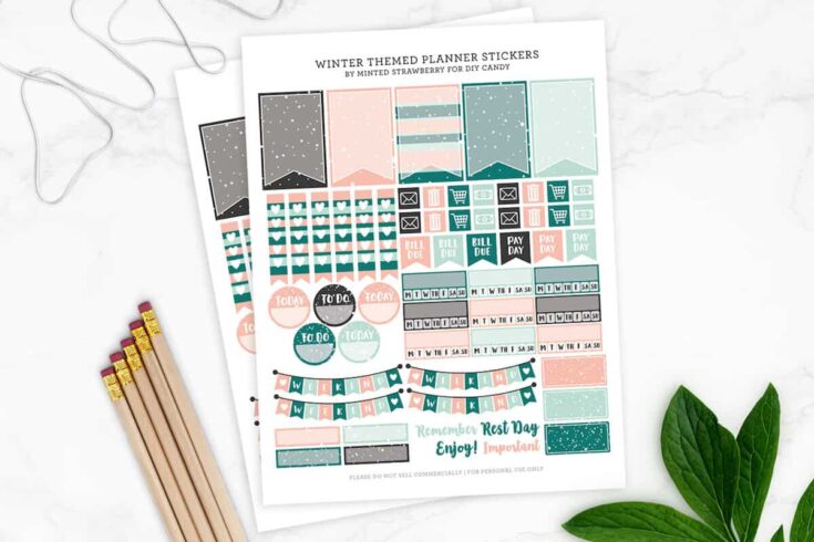 Free Printable Floral Starbucks Coffee Cups Planner Stickers - Lovely  Planner