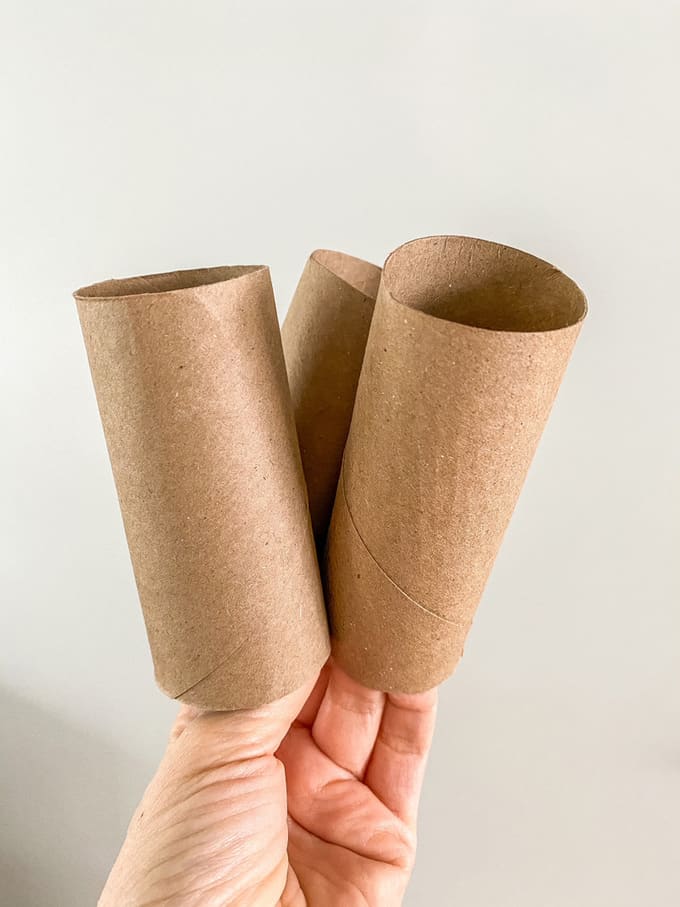 toilet paper rolls