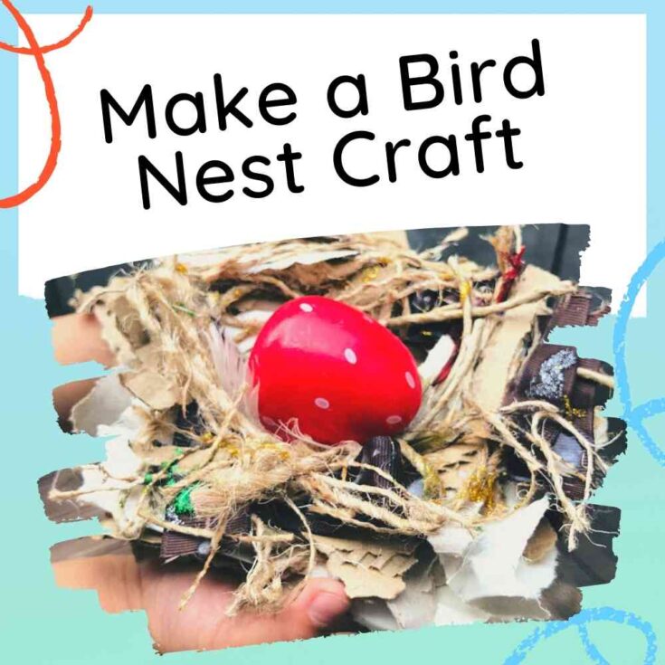 Image for Bird Nest Craft