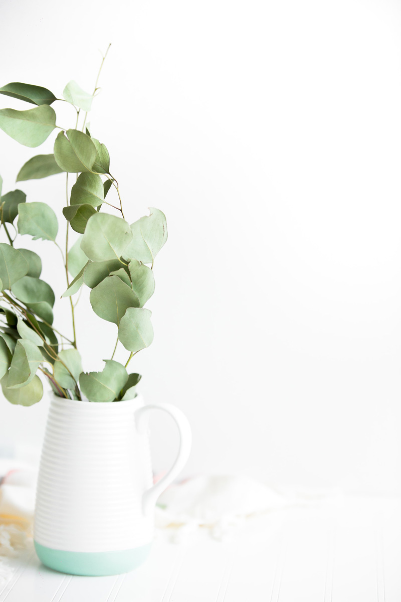 drying eucalyptus