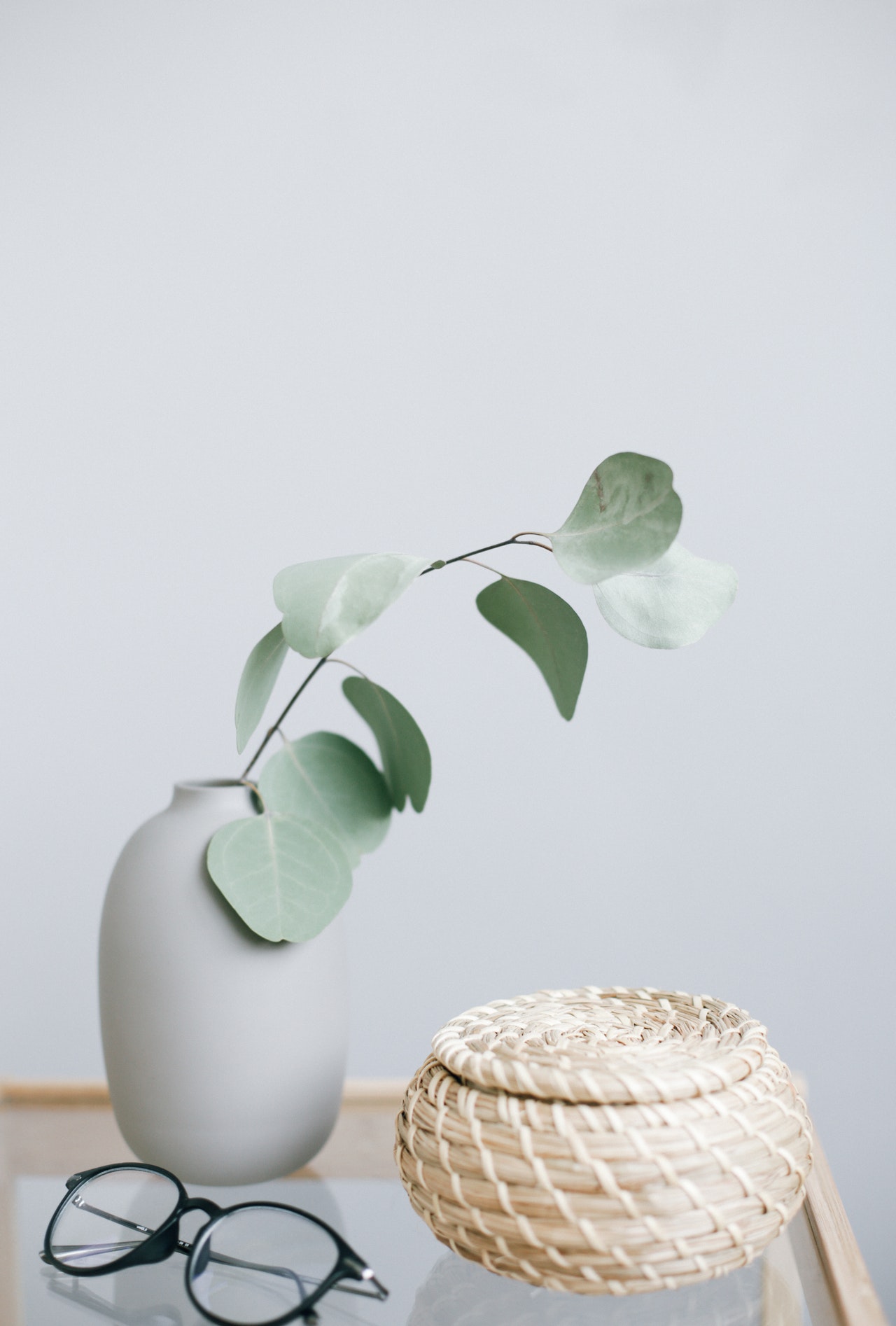 drying eucalyptus