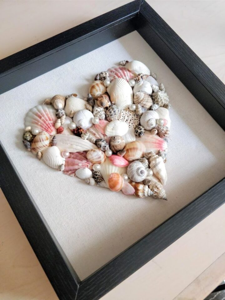 Ideas for Displaying Seashells {Clever Seashell Display Ideas}