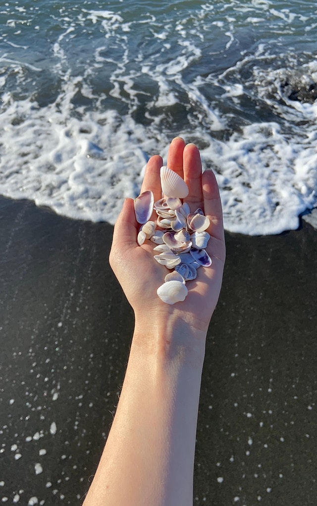 seashells in hand