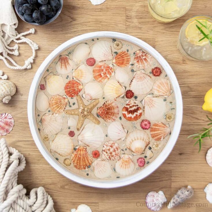 Image for Ideas for Displaying Seashells {Clever Seashell Display Ideas}