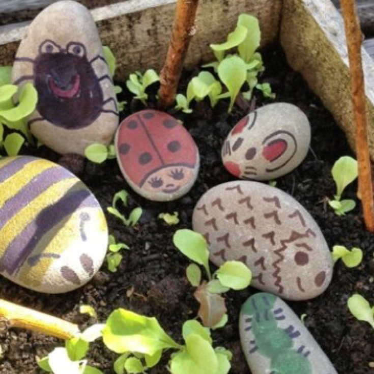 Image for Painted stone creatures - bug craft for kids
