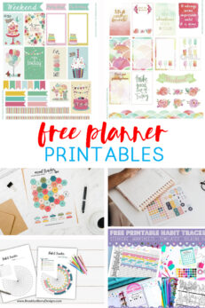 Weekly Planner Printables {Free for Your Happy Planner}