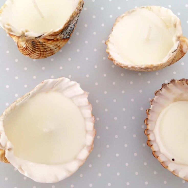 Image for How to make shell candles