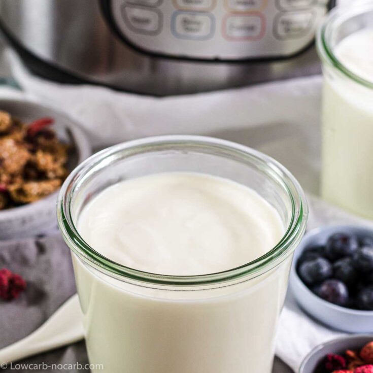 Image for Instant Pot Keto Cold Start Greek Yogurt