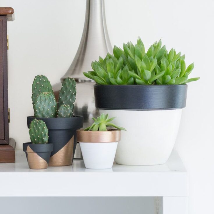 Image for Modern Mini Painted Plant Pots