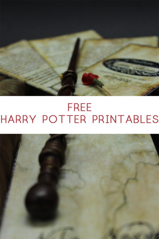 Harry Potter Crafts and DIY Ideas for Kids and Adults